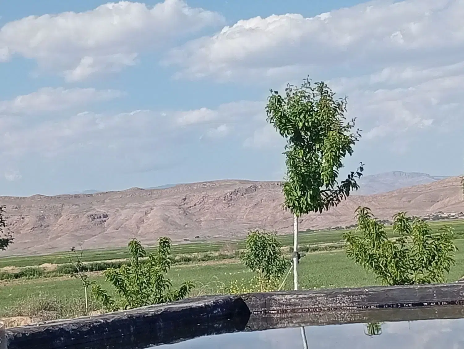 باغچه پونصد متری در به آباد پنج کیلومتر قبل گلبهار