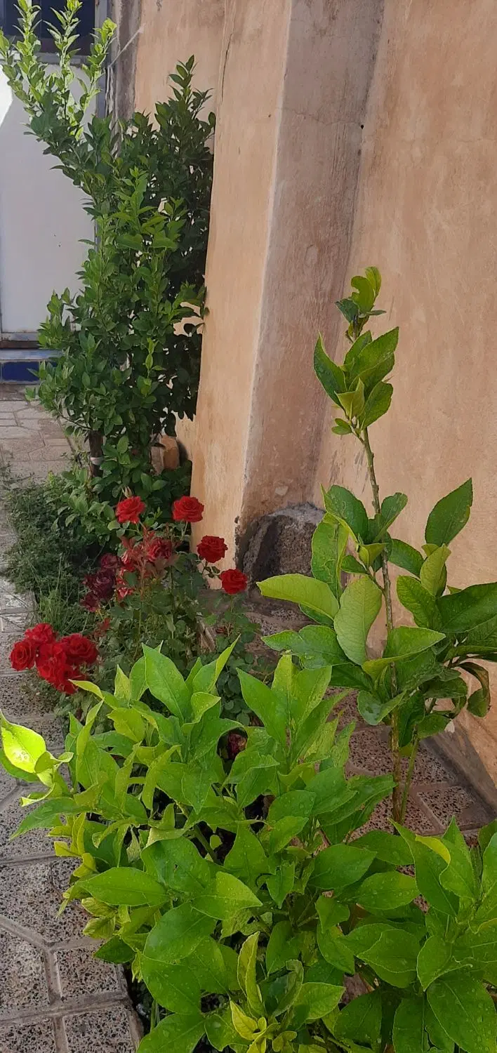 خانه روستایی