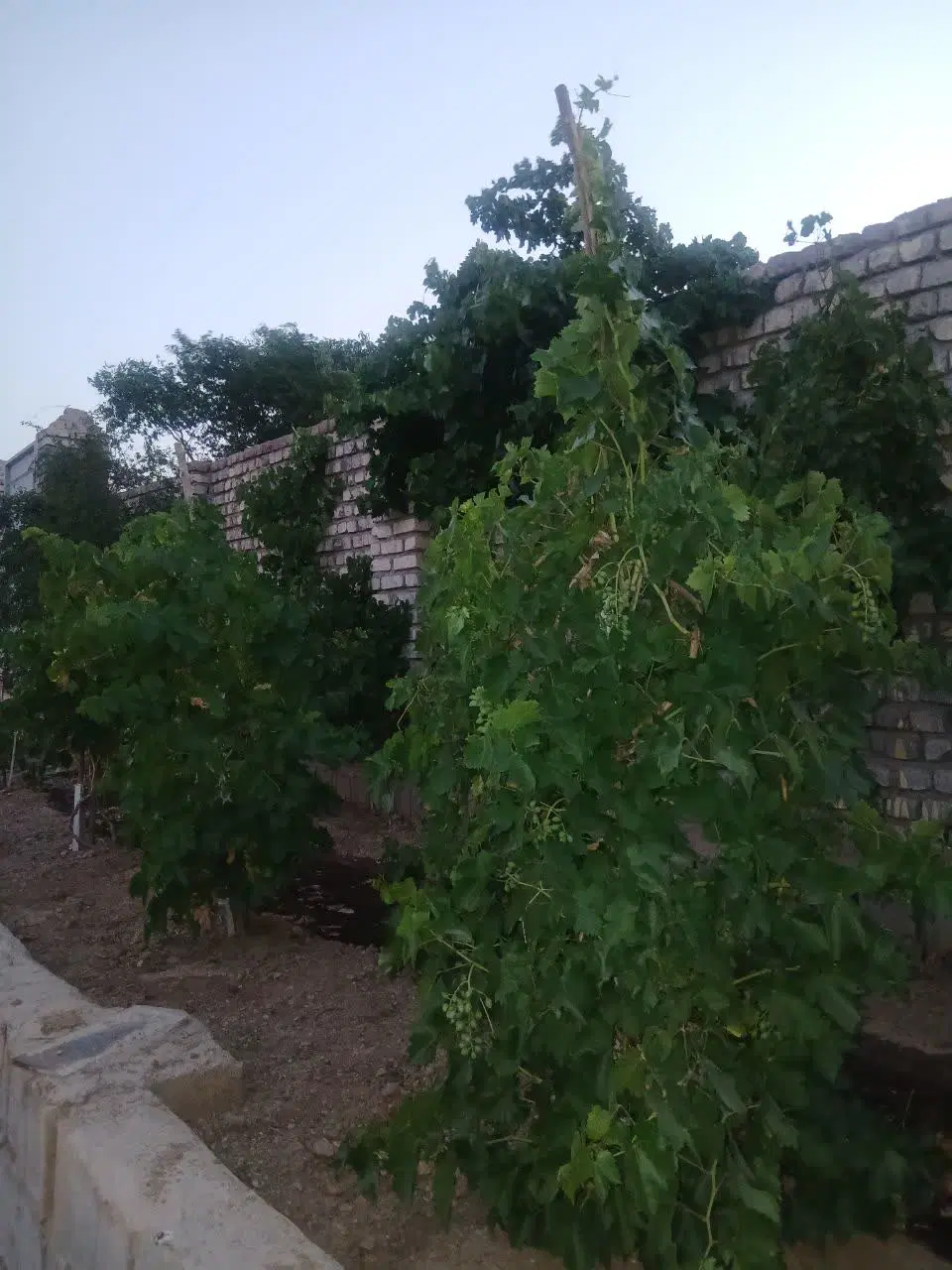 فروش زمین مسکونی