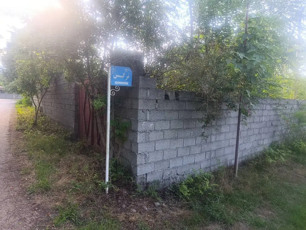 زمین مسکونی ۶۲۵ متر ماسال