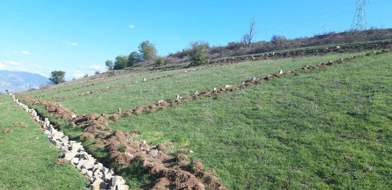 ۸۶۷ متر زمین روستای سنار