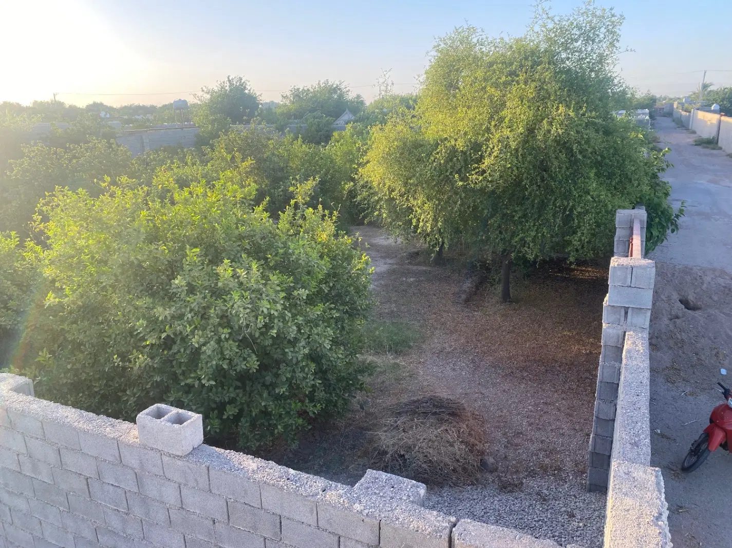 باغچه ۱۰۰۰ متری