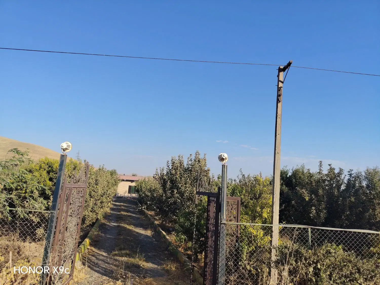 خانه باغ