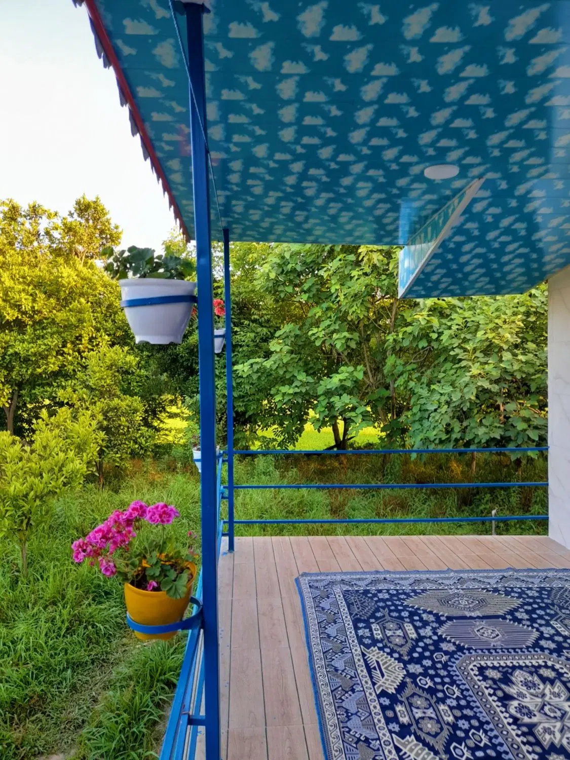 ویلا جنگلی دربست آماده رزرو از امشب