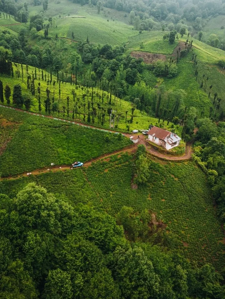 زمین مسکونی