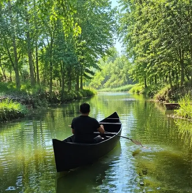ویلای جنگلی_اقساط ۲۴ ماهه بدون سود