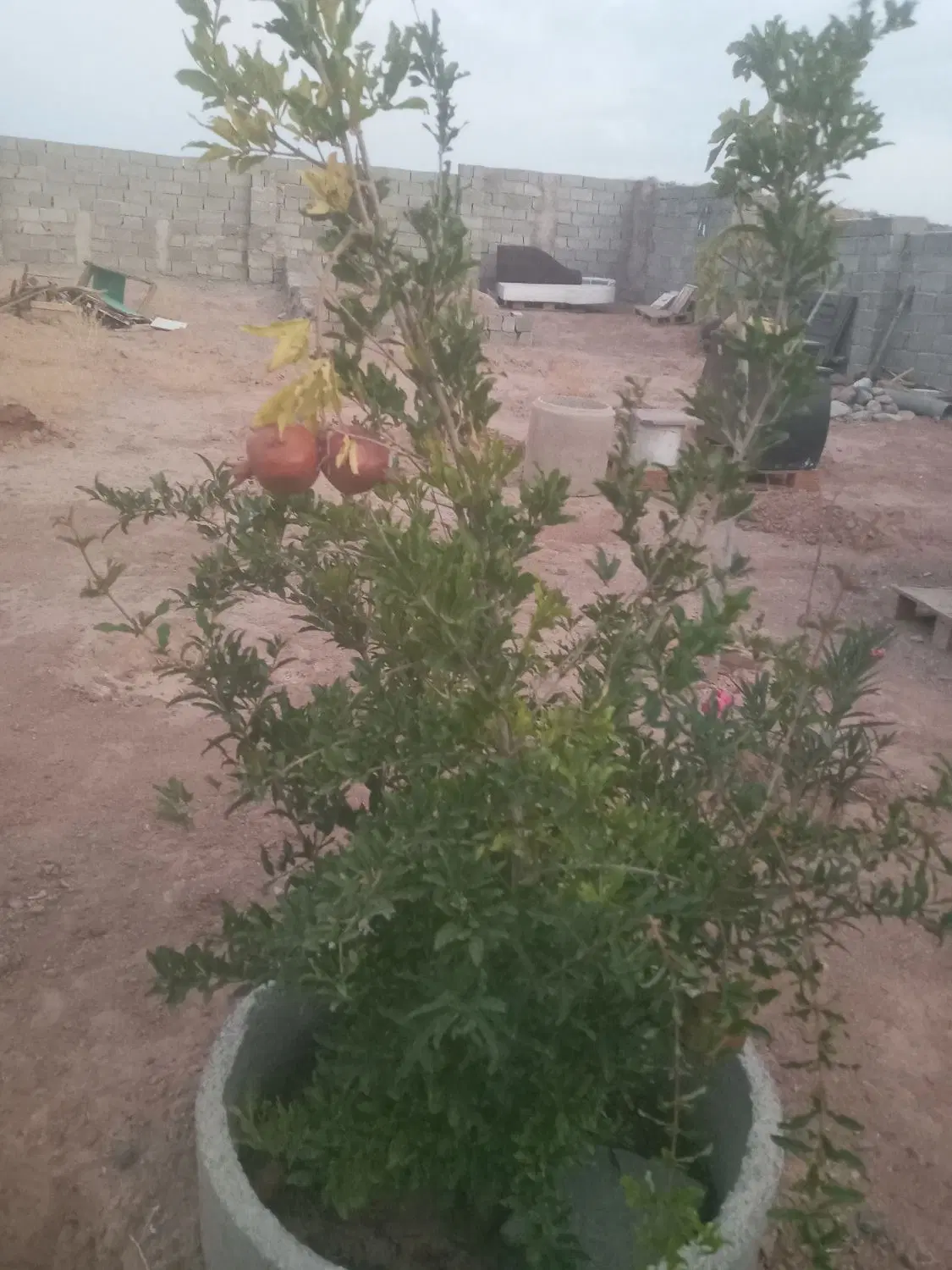 ۵۰۰ متر چهار دیواری