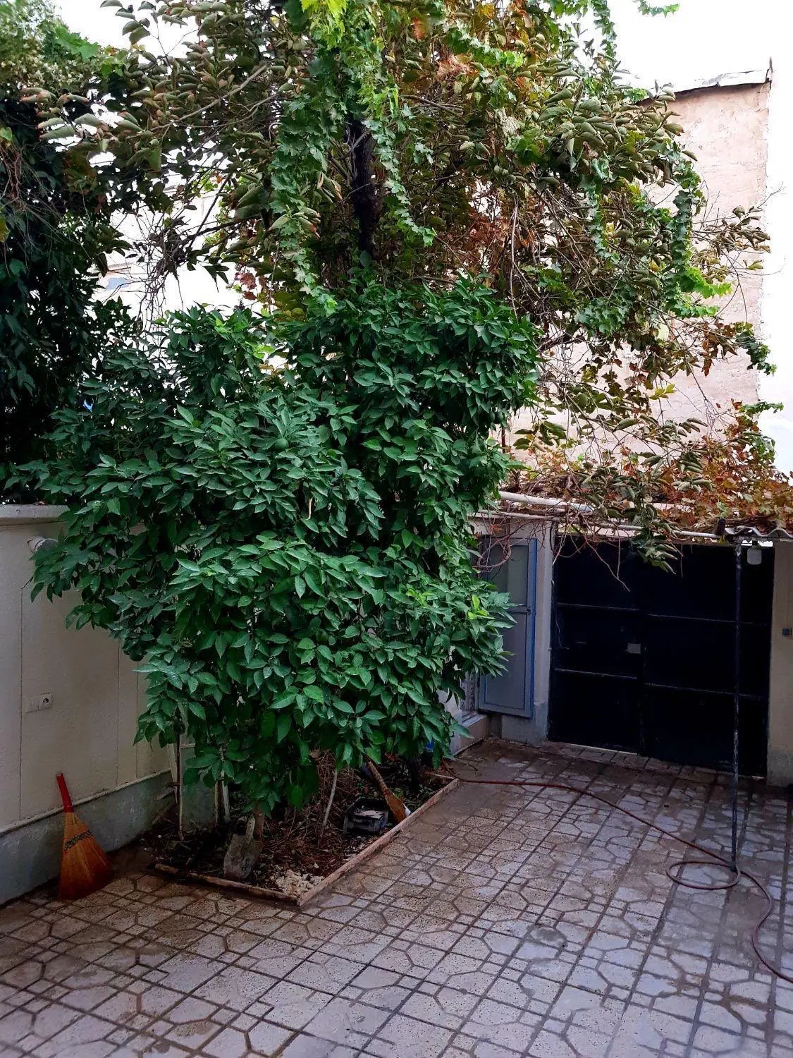 اجاره روزانه منزل مبله مرکز شهر نزدیک حرم شاه چراغ