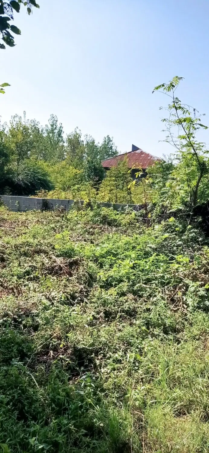 زمین استان گیلان شهرستان سیاهکل روستای لشکریان