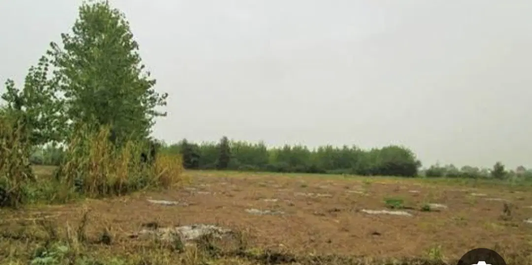 زمین فروشی