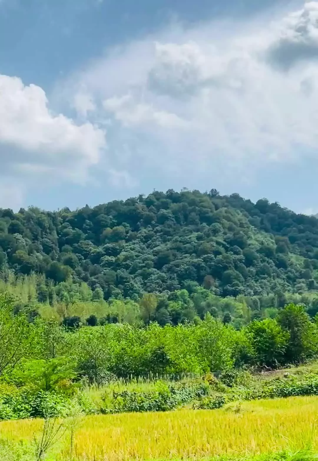 ۸۵۰مترویلادوبکس کوهپایه جنگل رودخانه درقلعه رودخان