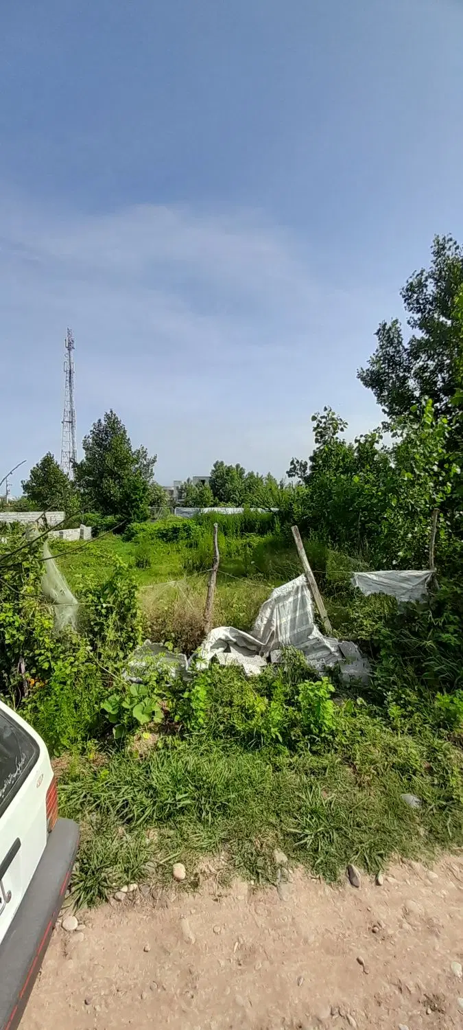 زمین مسکونی