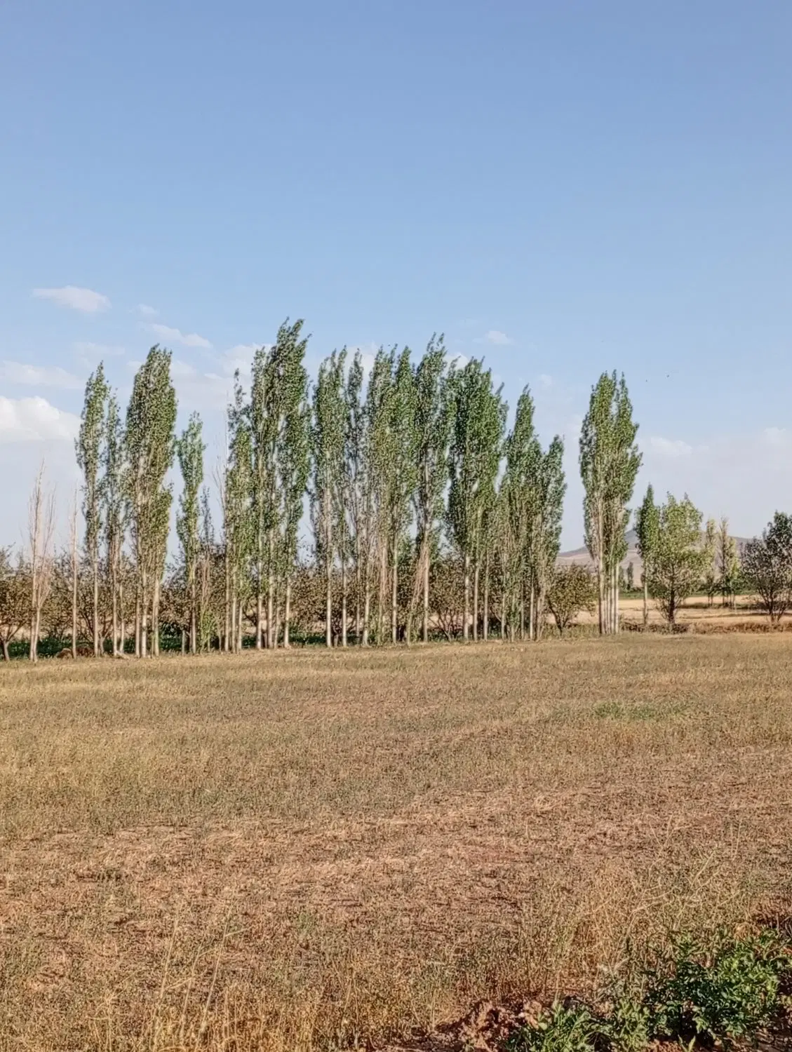 خانه در آبی سفلی 2 طبقه