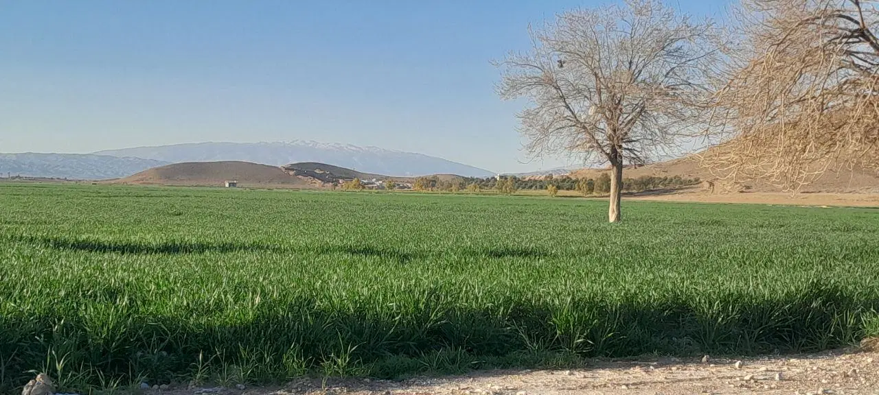 با سلام مقدار 40 هکتار زمین برای اجاره دیم