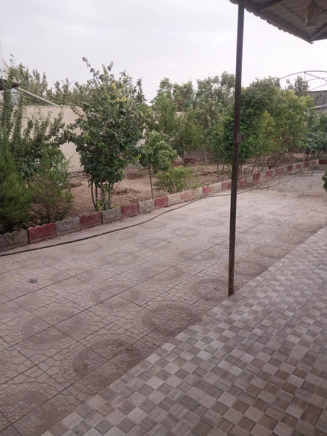 باغچه ۵۰۰متری باسندتک برگ