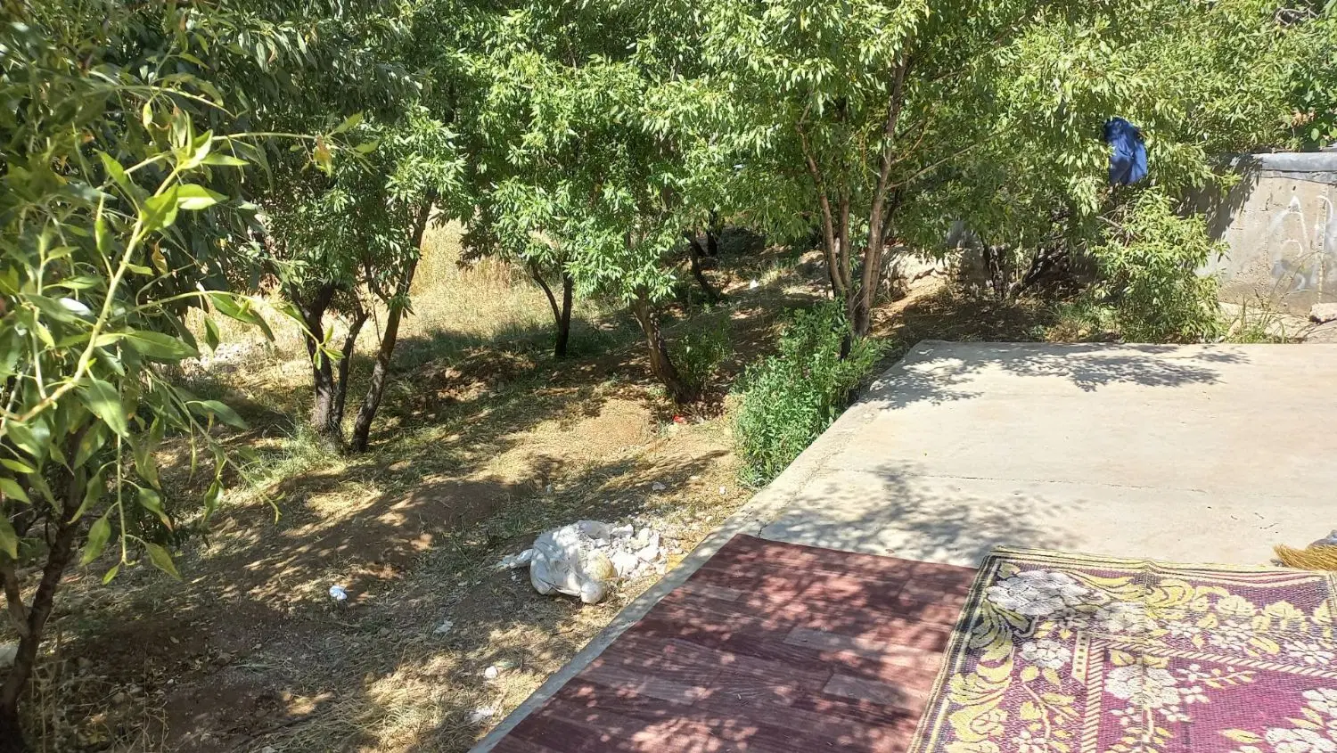 باغ