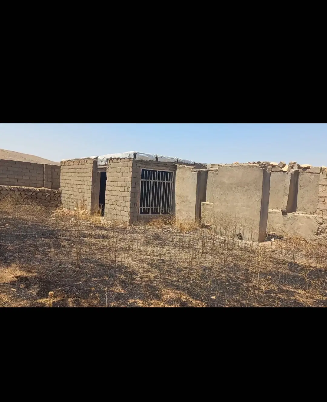 گاوداری فروش