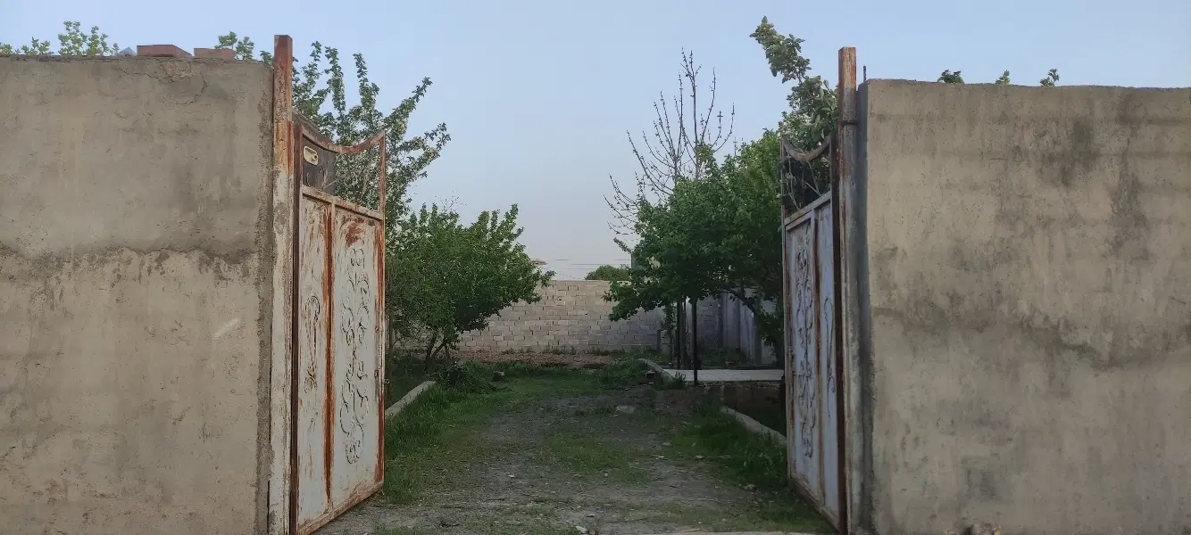 زمین باغ داخل بافت