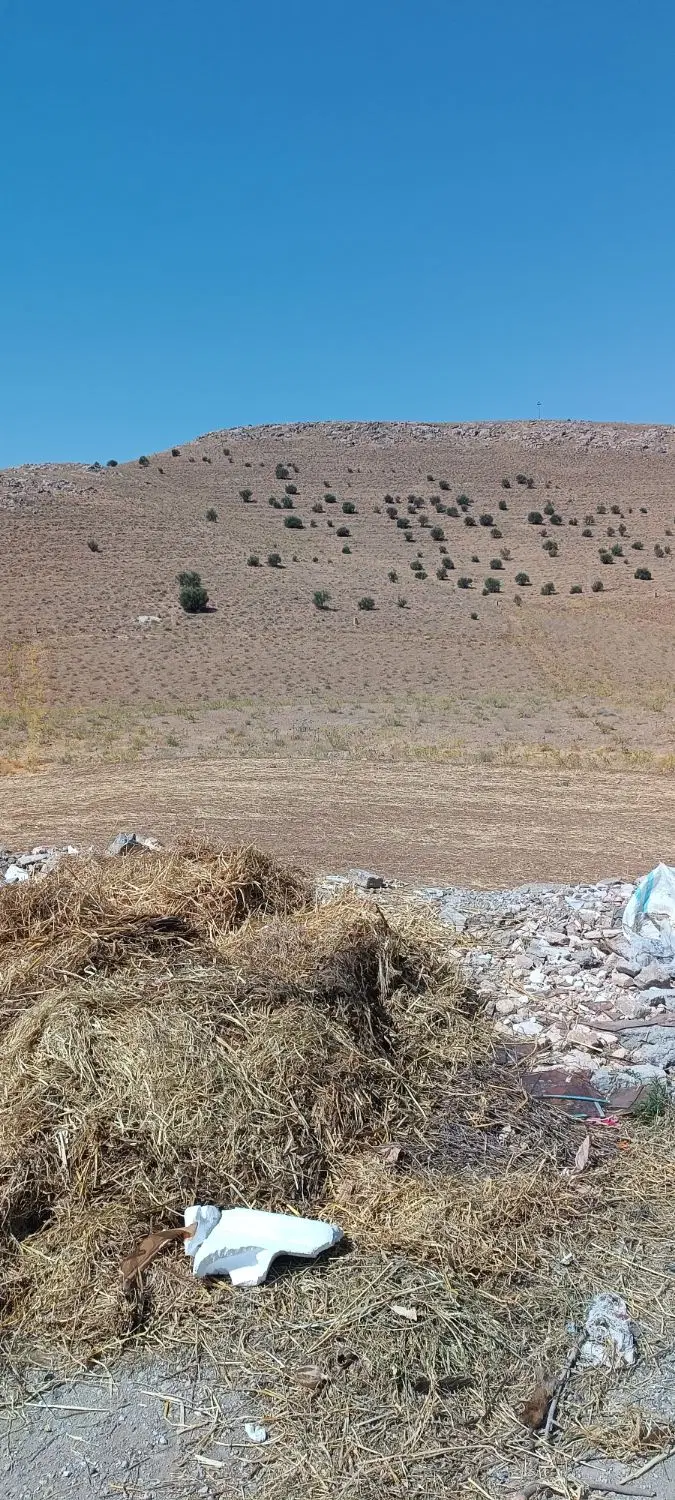 زمین با سند تک برگ