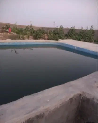 خونه باغی ۸۰۰متر
