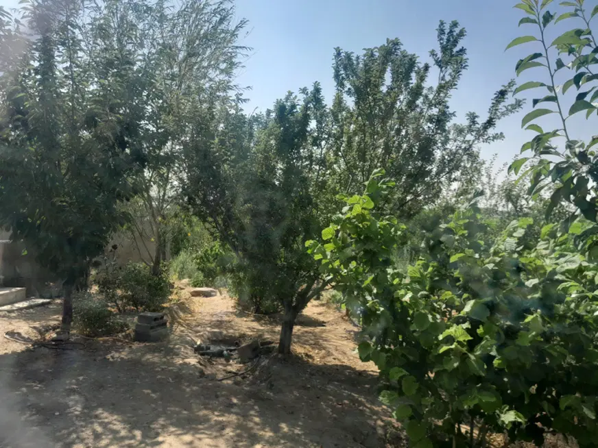 باغ آماده با فنس و نهال در روستای سیمین