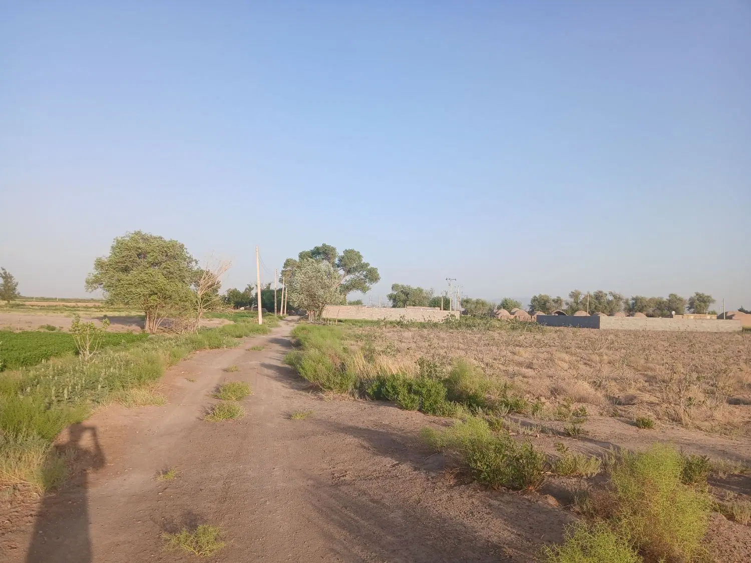 زمین برای خونه باغ در بردسیر