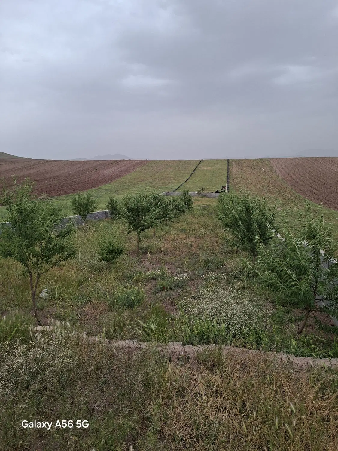 فروش باغ در قزوین روستای قنبر آباد