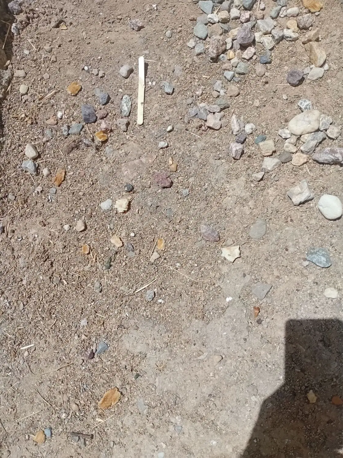 زمین مسکونی