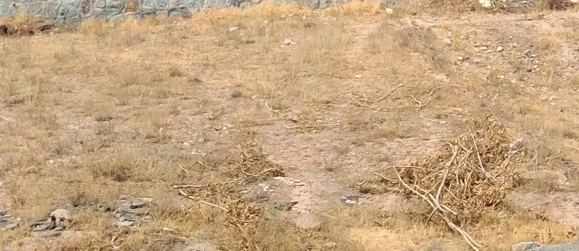 زمین فاز۴ مهستان