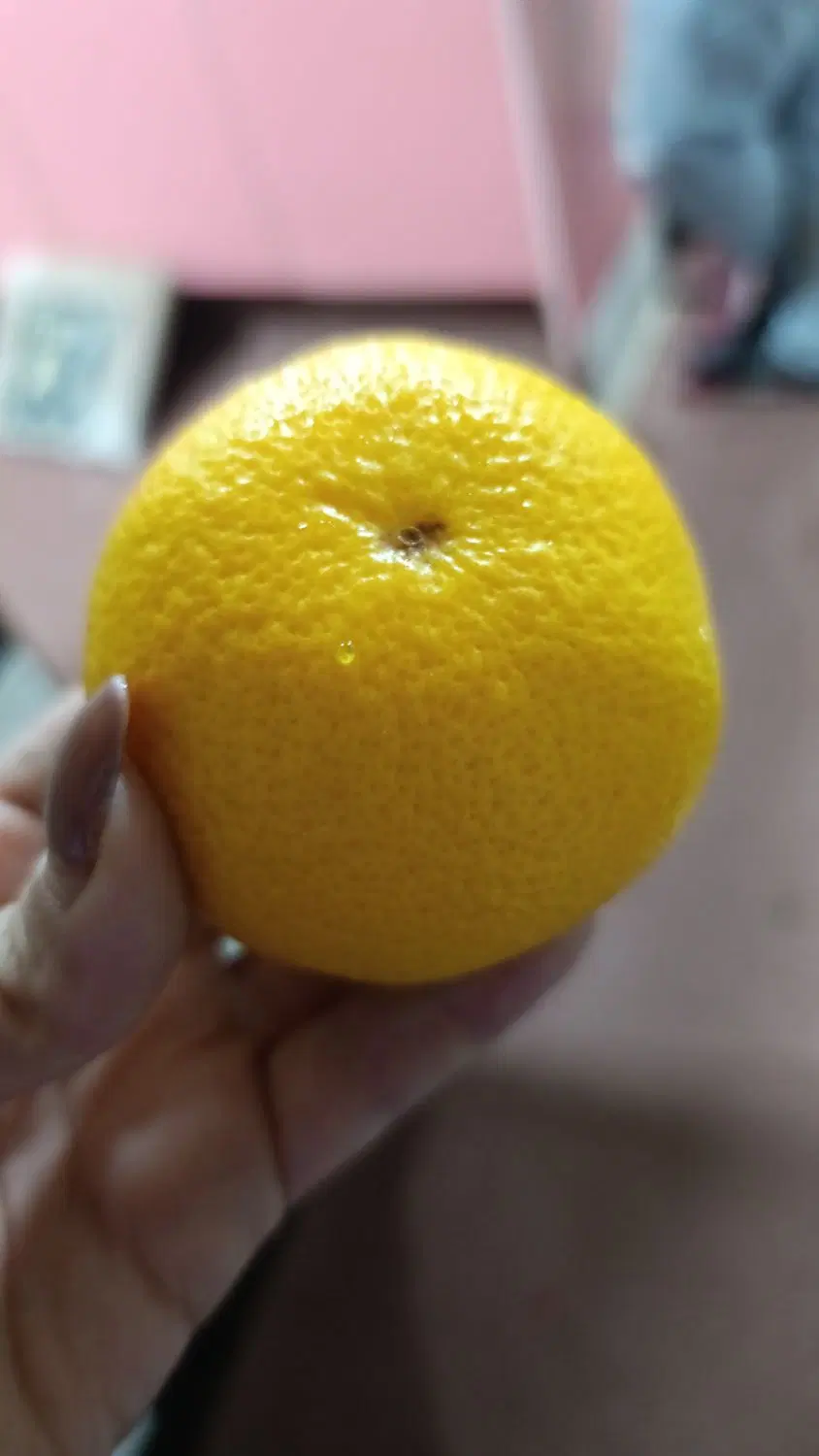 باغ