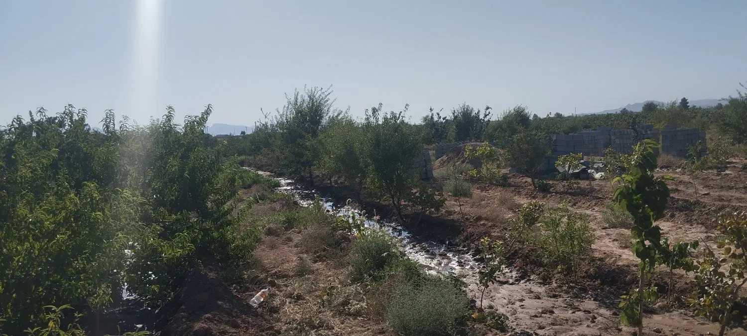 باغ فروشی بعدتنگ چنارقبل روستای ارنوچاه ابوالفضل