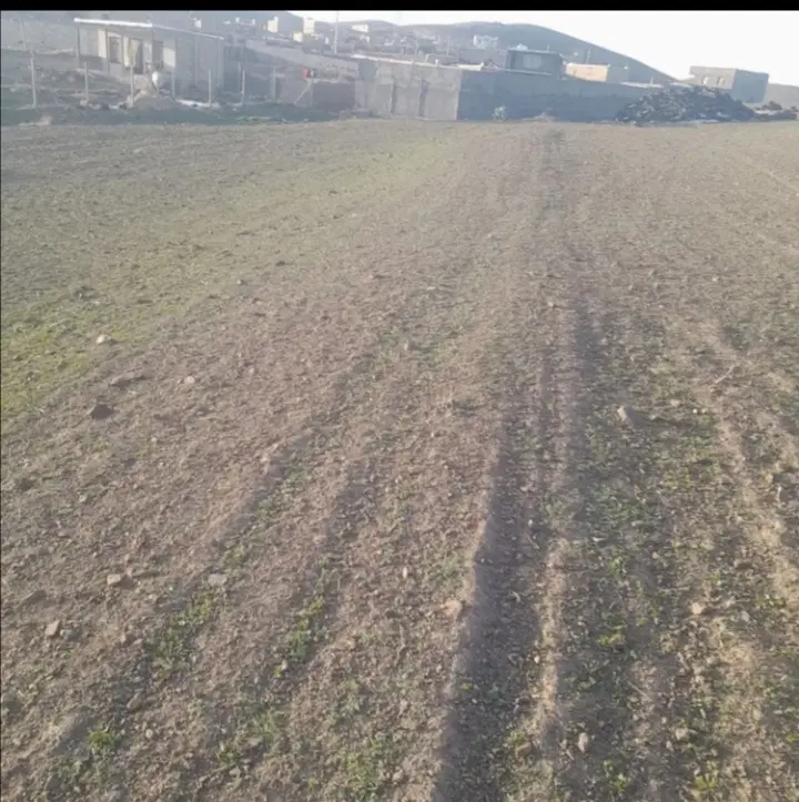 زمین خوب در روستا خوش آب و هوا و امن