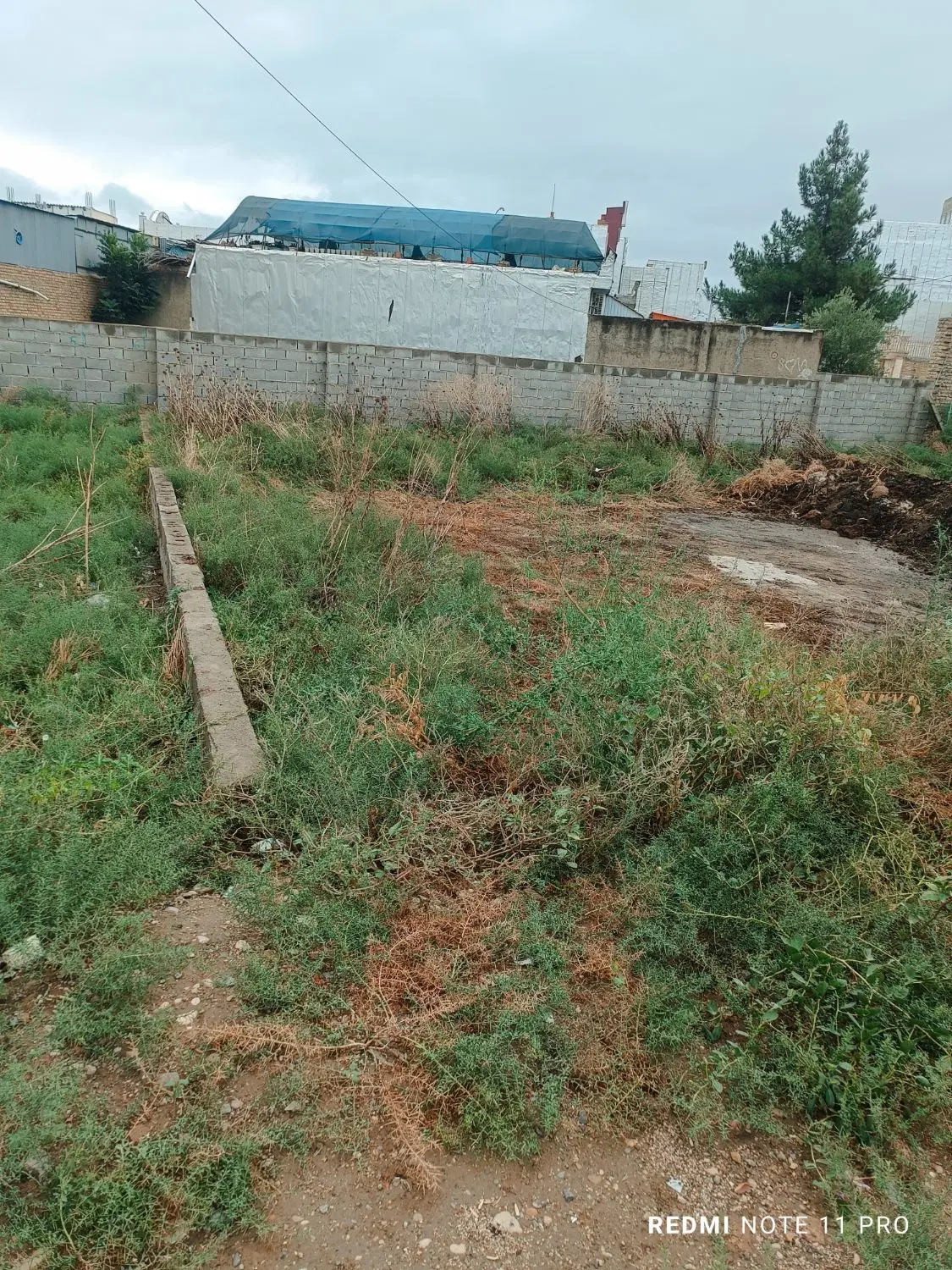 زمین مسکونی
