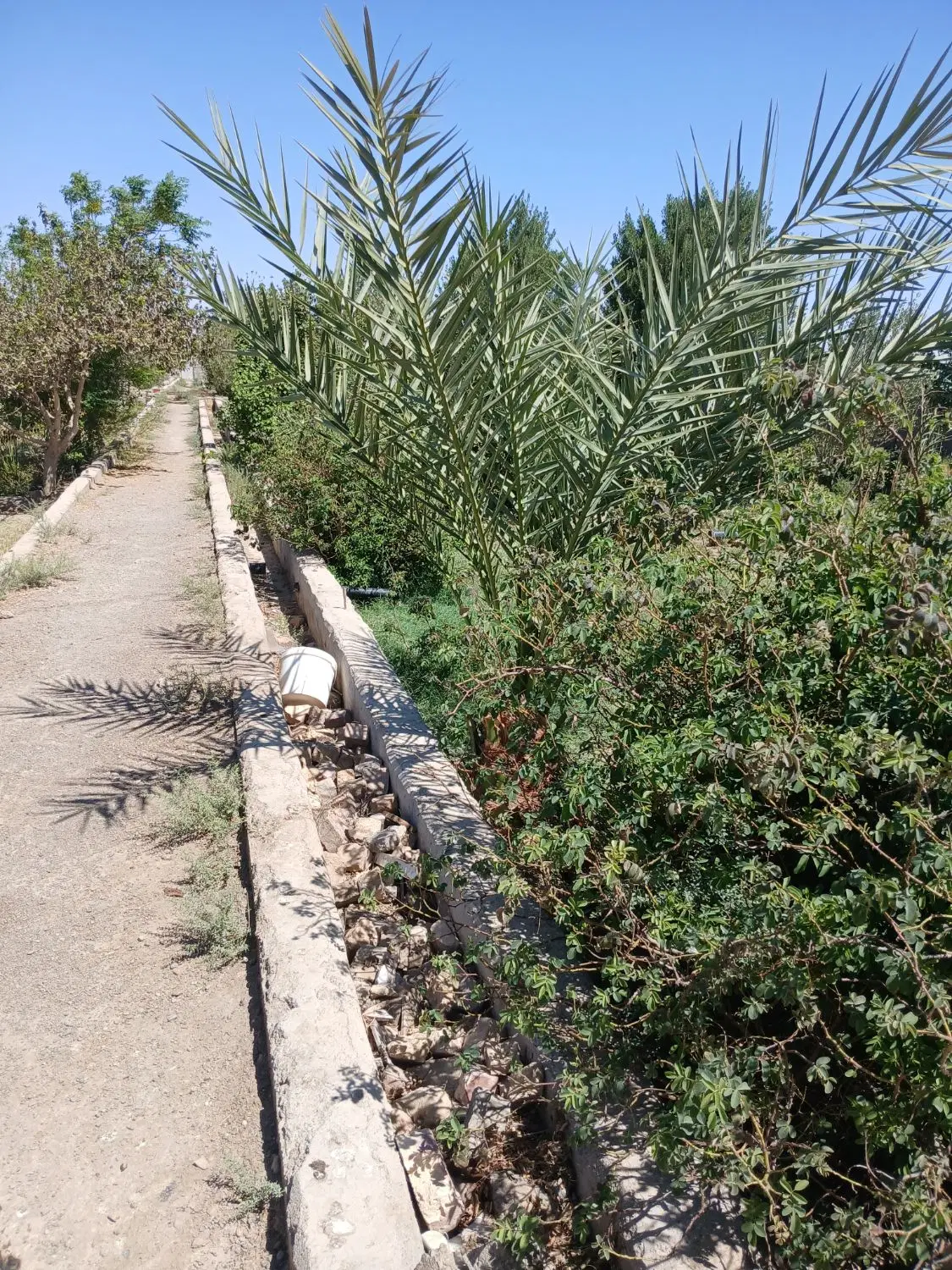 باغ ویلا