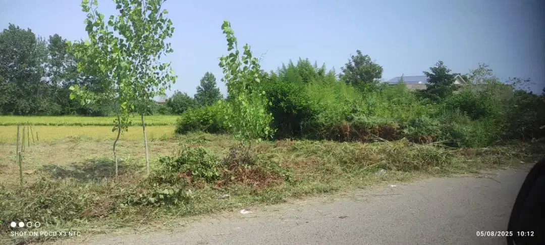 یک قطعه زمین مسکونی در پیش بیجار