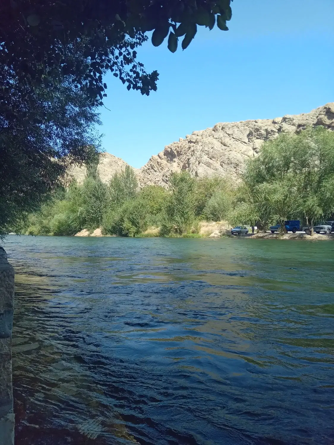 زمین کشاورزی
