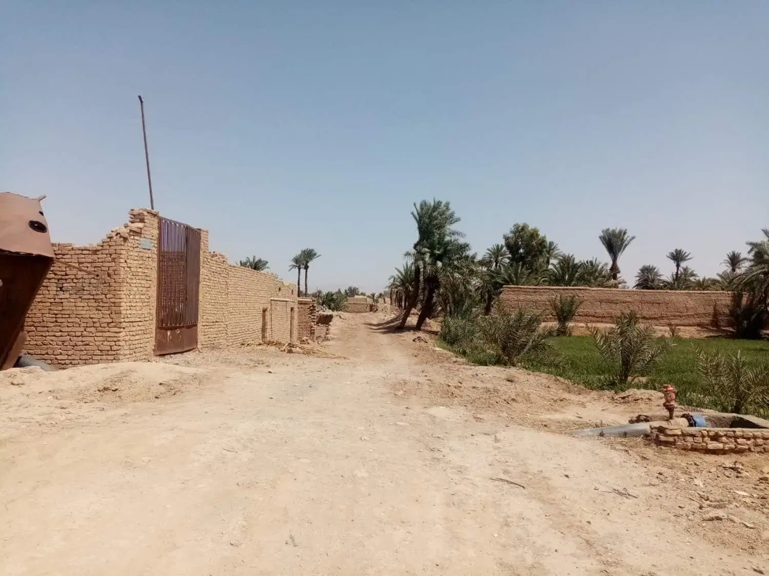 فروش زمین