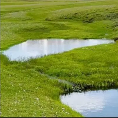 زمین