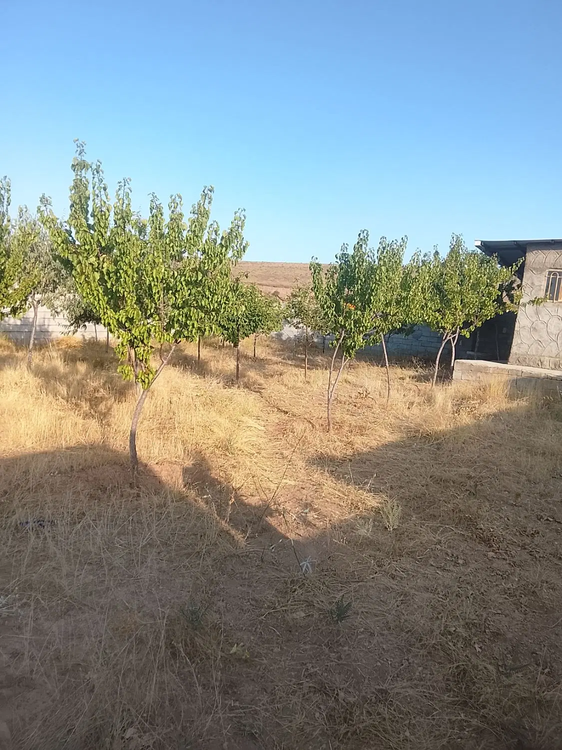 باغ آماده با ویلای ۴۰مترباآب ازچاه عمیق زین آباد