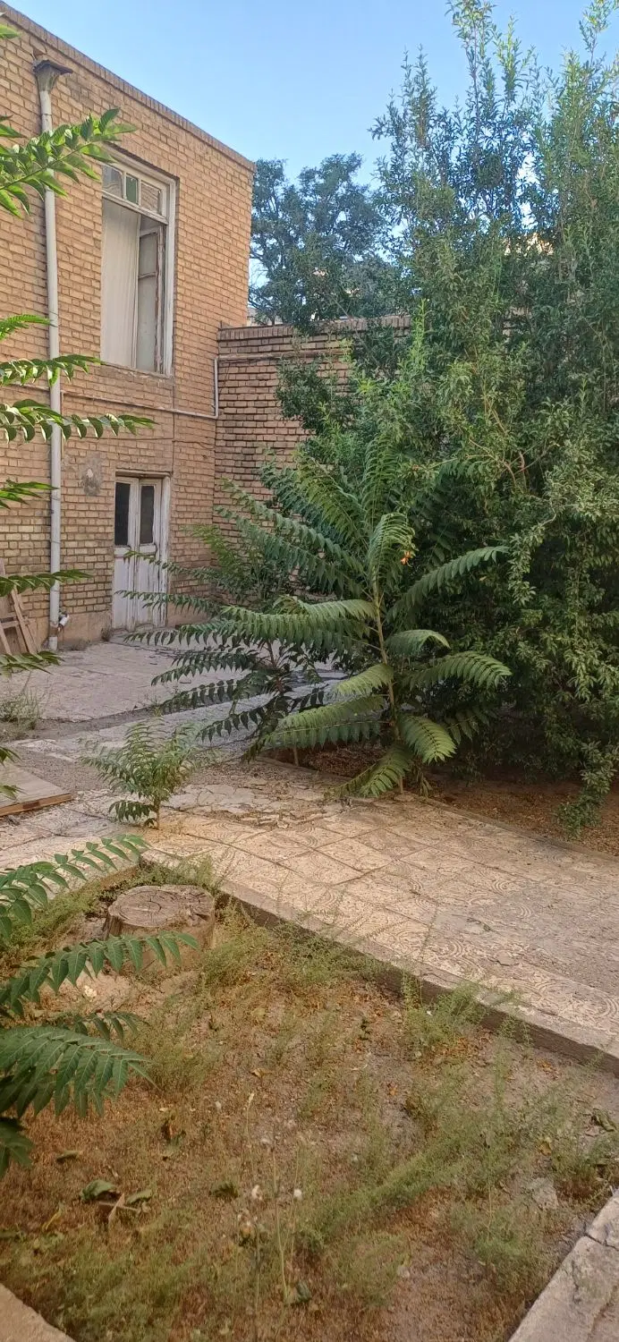 حیاط کلنگی
