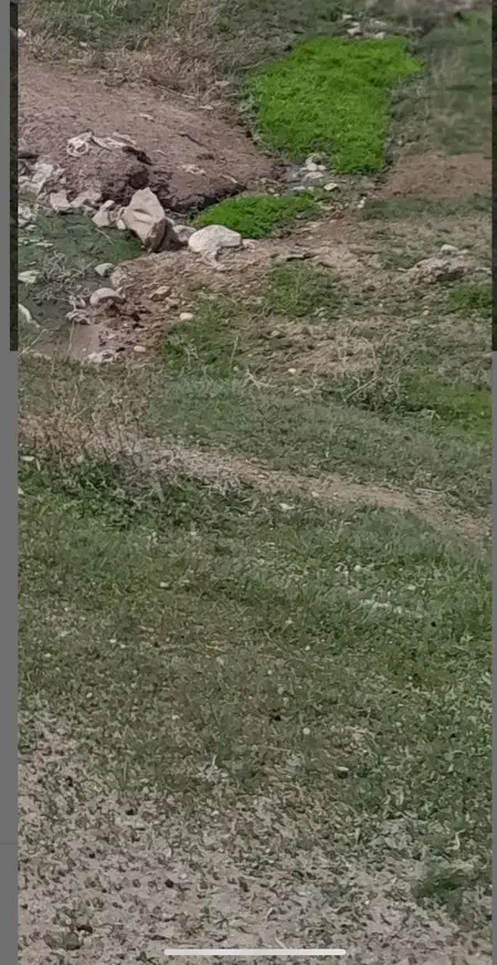 زمین فروشی