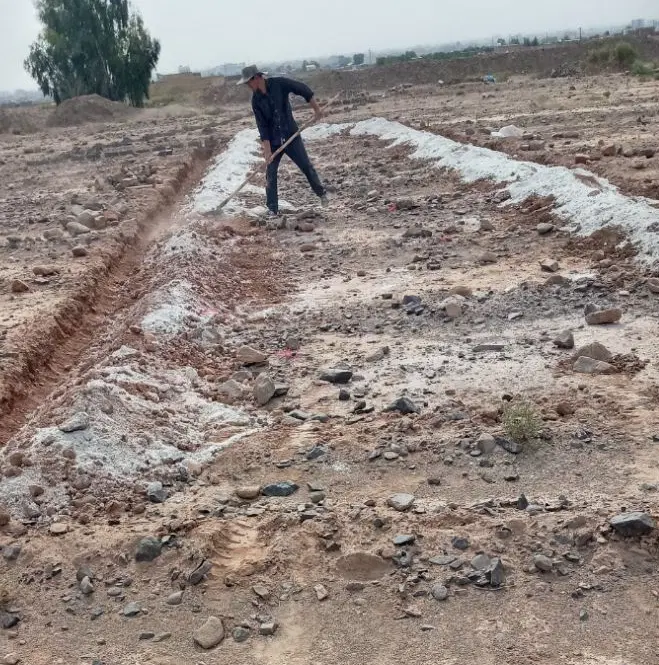 زمین سنددار