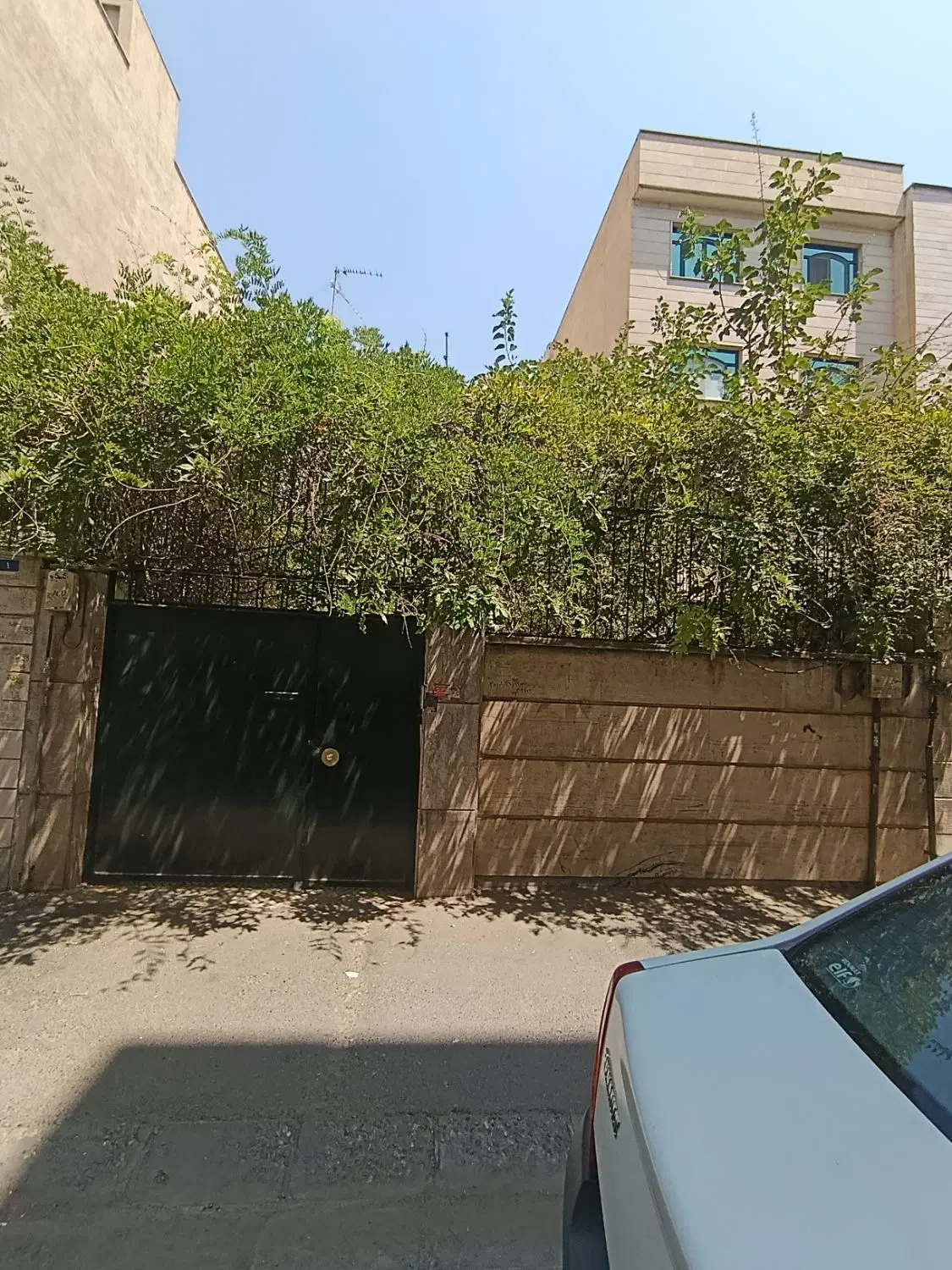 فروش کلنگی زوج نوبخت