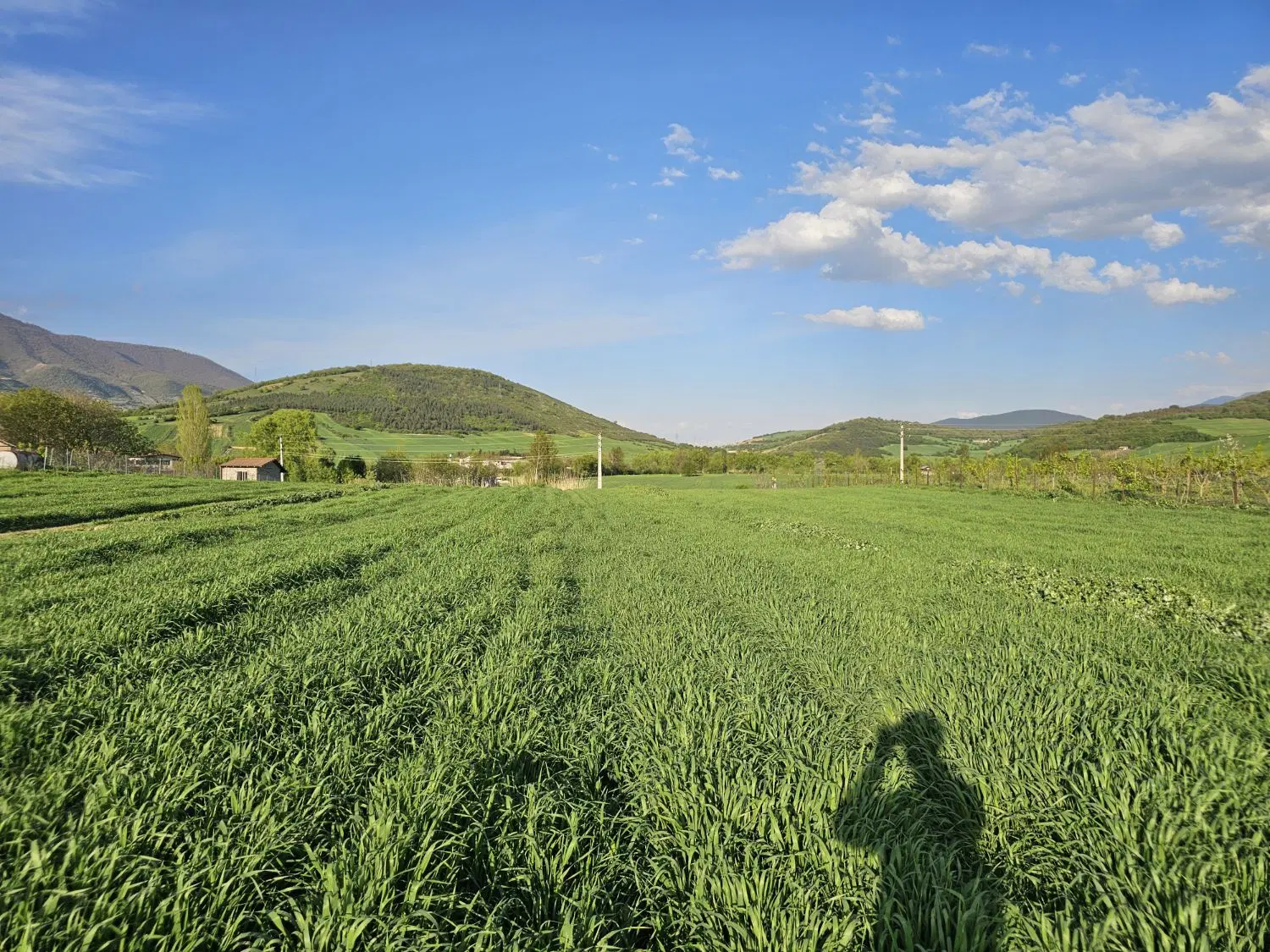 زمین مقیمی تفکیکی اداره ثبت اسناد