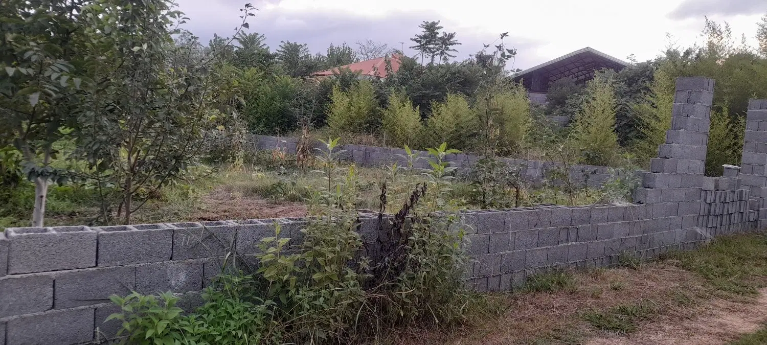 یک قطعه زمین به مساحت ۳۱۰ متر