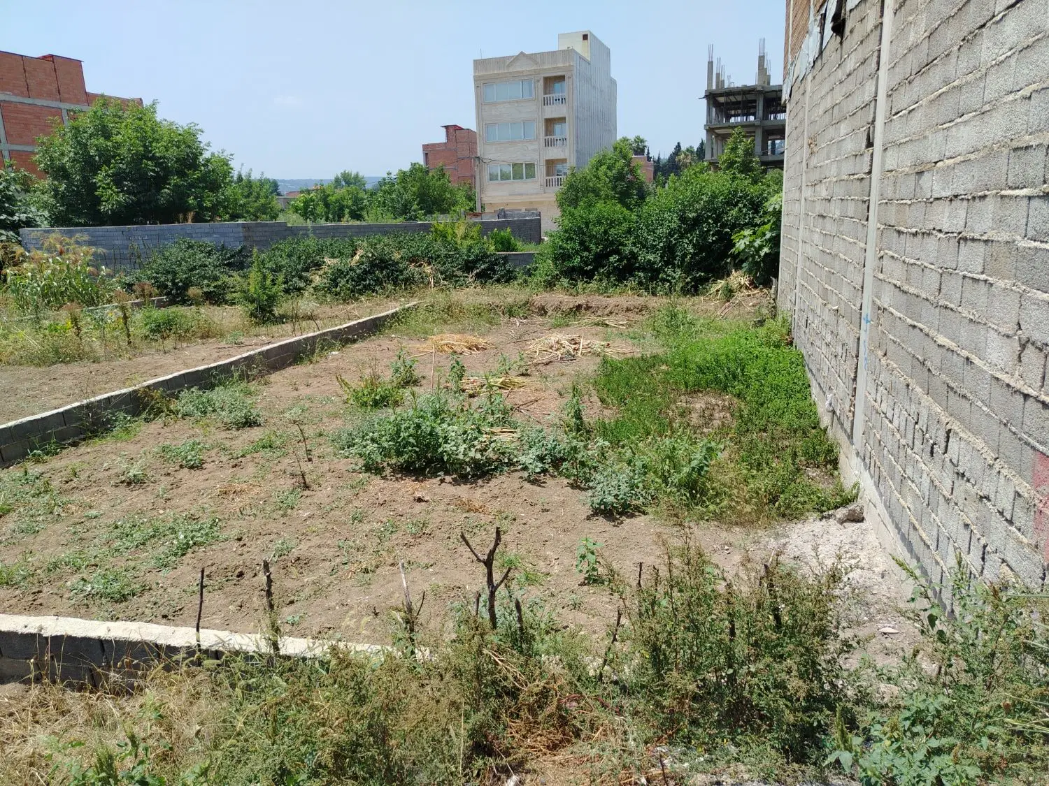 زمین مسکونی کشاورز 55