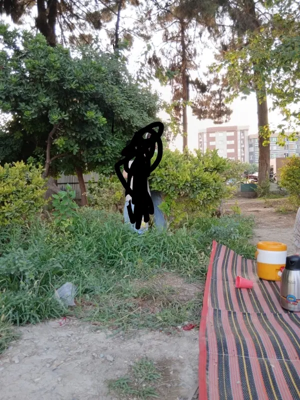 زمین سید آباد به متراژ۲۲۴ متر