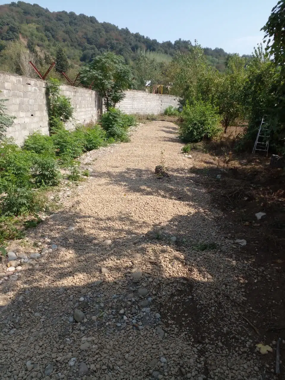 زمینی به مساحت ۶۵۰ متر