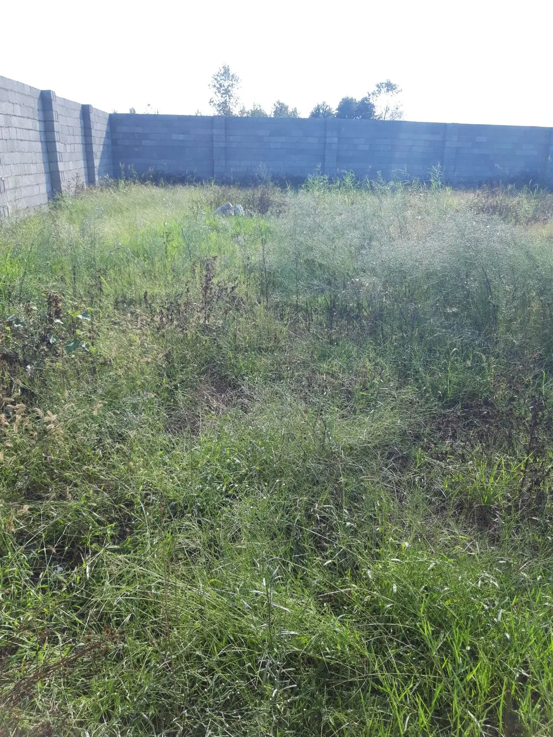 فروش زمین مشکل دار اداره ثبت