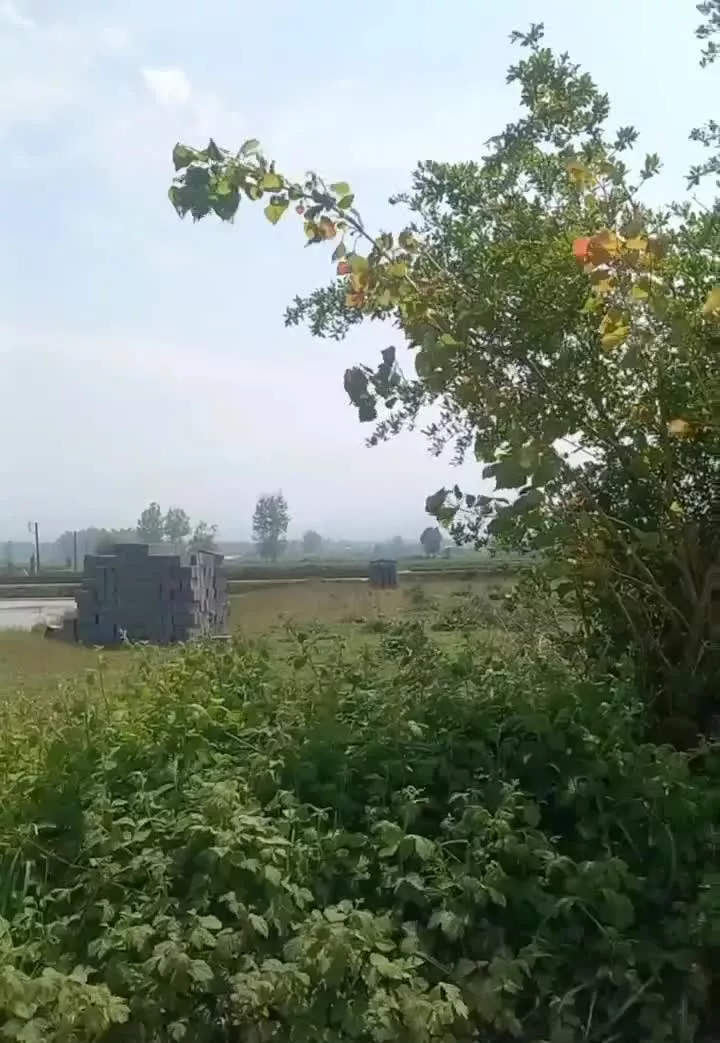 زمین ۵۱۵ متری